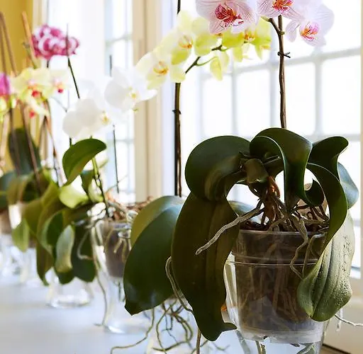 Dom wakacyjny Residenza Montebello *